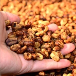 Honey Processed Arabica