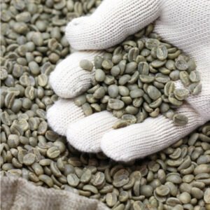 Speciality Coffee Beans (Single Origin)
